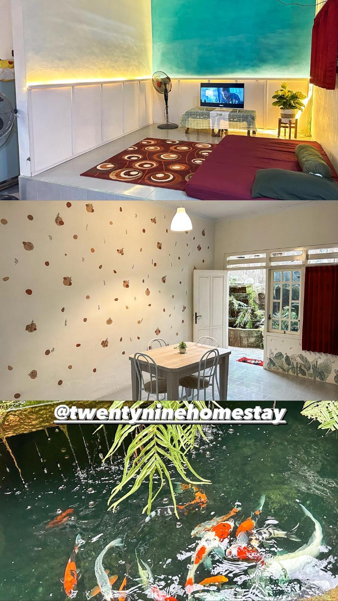 Twentynine Homestay Баньювангі Екстер'єр фото